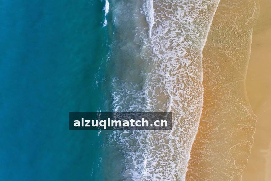 AI足球预测模型可视化图表