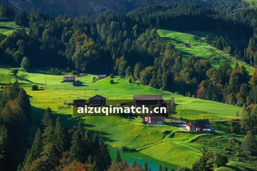 AI足球英超冬窗引援分析专题